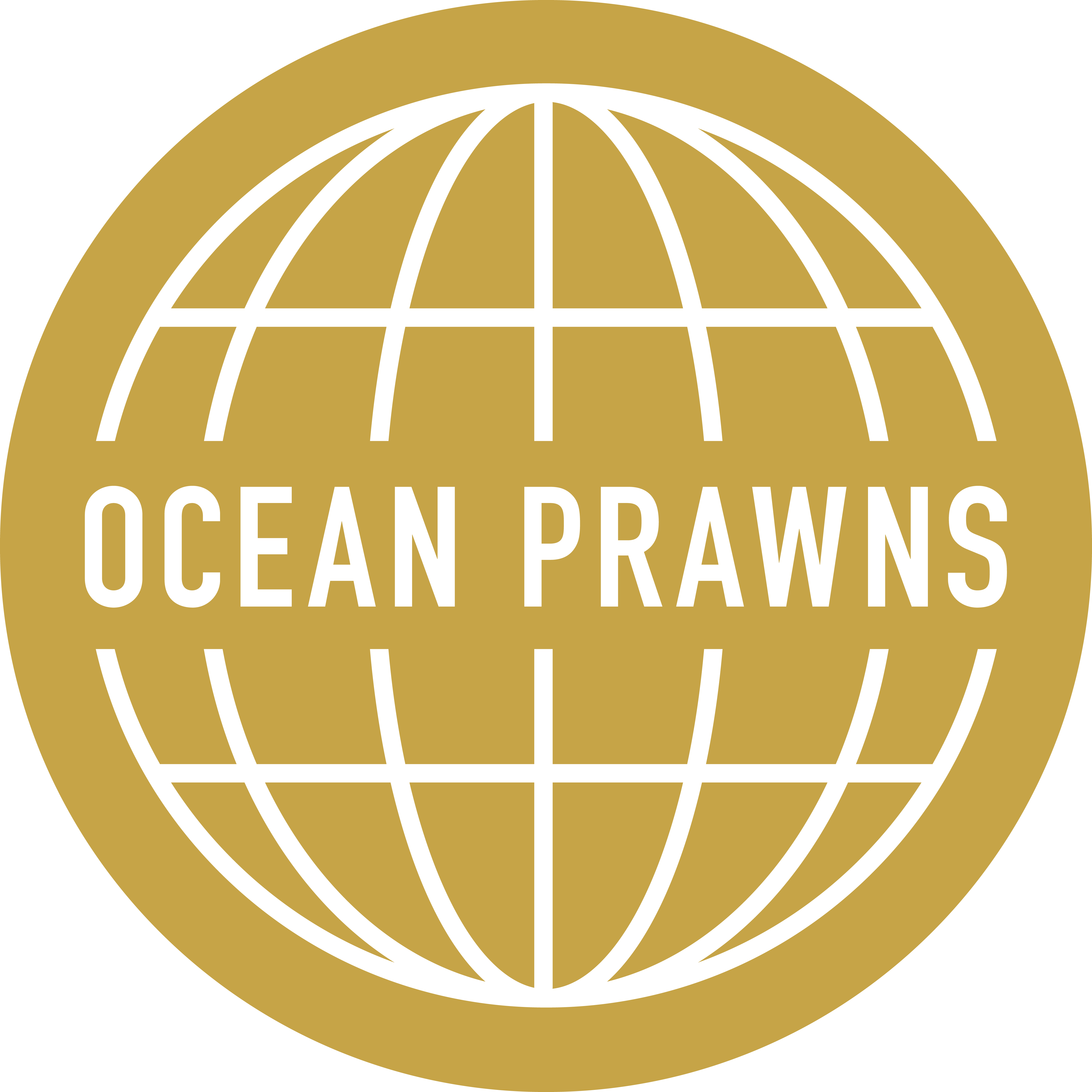 Ocean Prawns